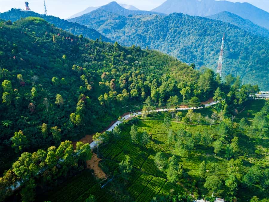 From Jakarta: Safari Park, Tea Plantation & Jaksa Waterfall - Puncak tea fields, local farming, and mountain views