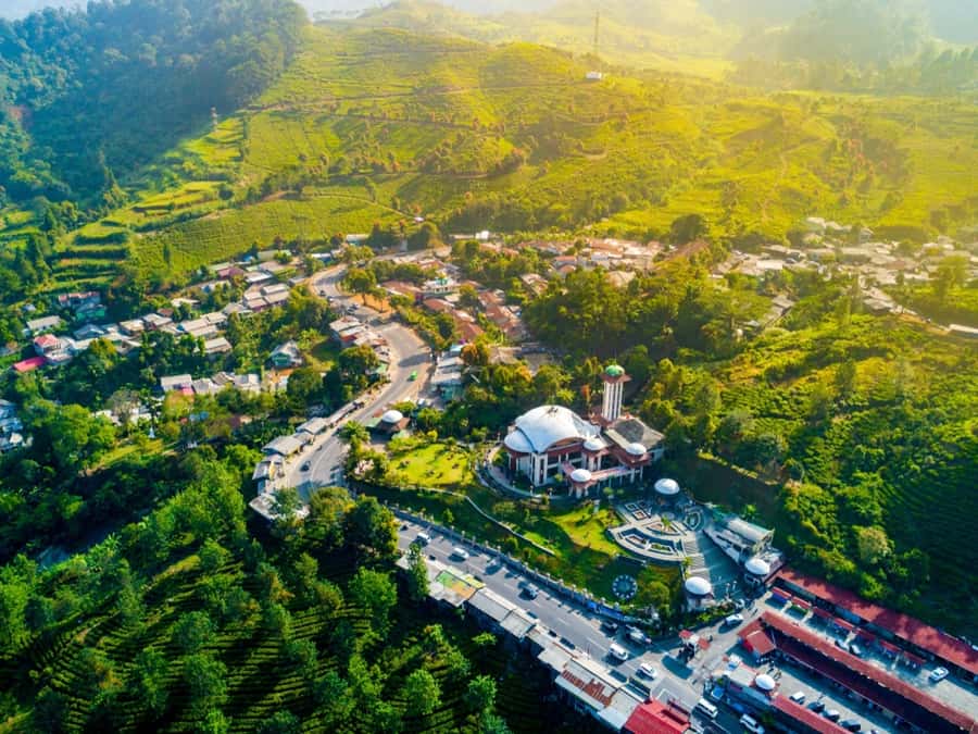 From Jakarta: Safari Park, Tea Plantation & Jaksa Waterfall - Who will get the most from this day