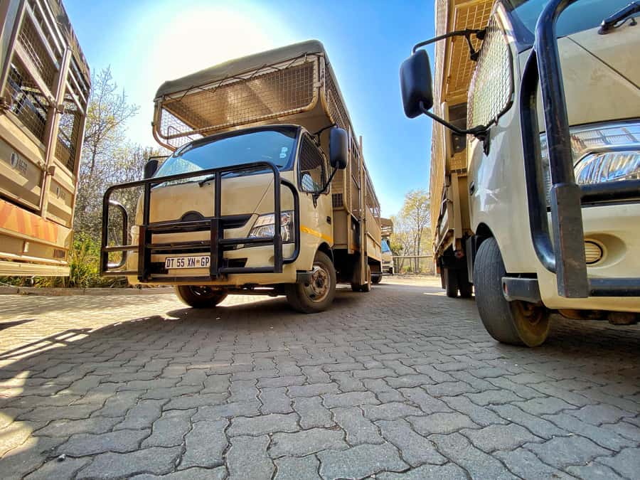 From Johannesburg: Lion & Safari Park Half-Day Tour - Booking details that affect your decision