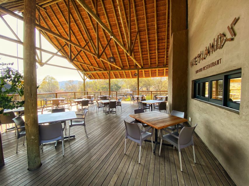 From Johannesburg: Lion & Safari Park Half-Day Tour - What the one-hour game drive feels like