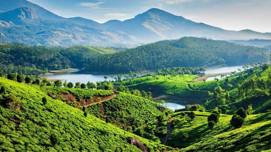 From Kochi: 3-Day Periyar Wildlife Sanctuary Tour - Key points to know before booking