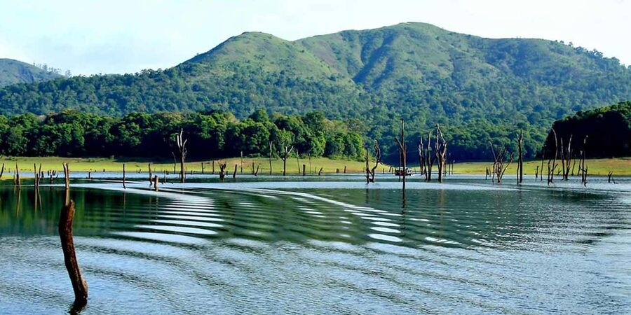 From Kochi: 3-Day Periyar Wildlife Sanctuary Tour - Inside Periyar Wildlife Sanctuary on day two
