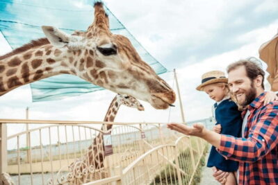 Krakow: Zoo Trip with Private Luxury Transfer