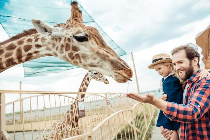 From Krakow: Zoo Trip with Private Luxury Transfer - The hotel pickup makes a short visit simple