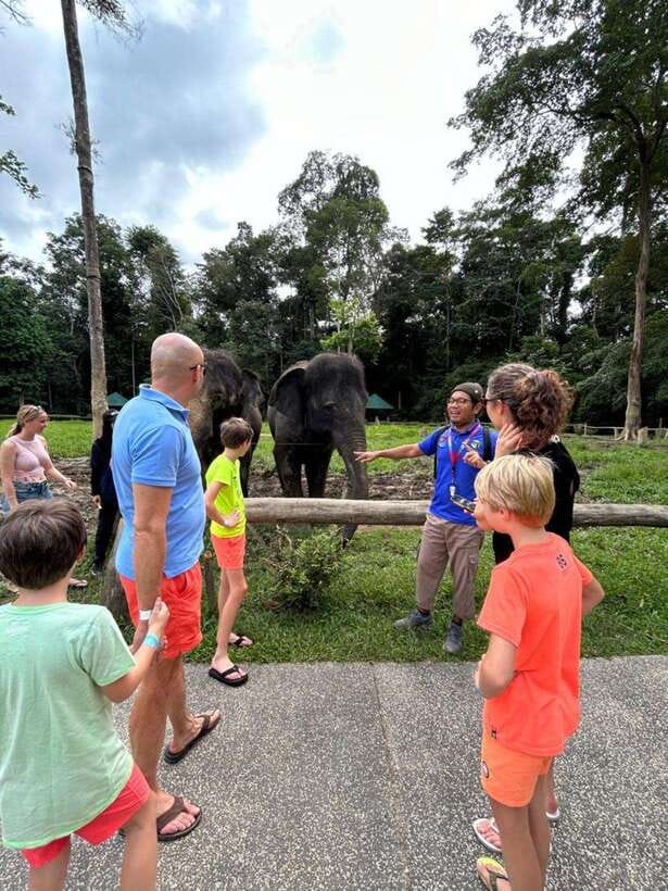From Kuala Lumpur: Elephant Sanctuary Guided Tour - Quick take on the Kuala Gandah day trip