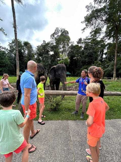 From Kuala Lumpur: Elephant Sanctuary Guided Tour - Who will enjoy this day most?