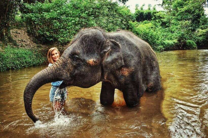 From Kuala Lumpur: Elephant Sanctuary Guided Tour - The 105-minute drive from Kuala Lumpur