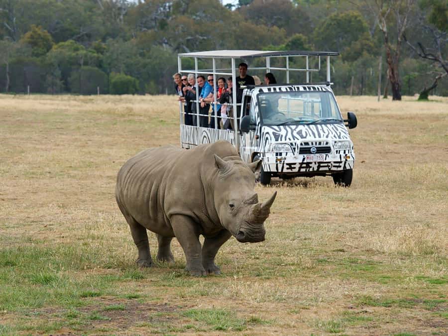 From Melbourne: Werribee Open Range Zoo & Werribee Mansion - Arriving at Werribee Mansion