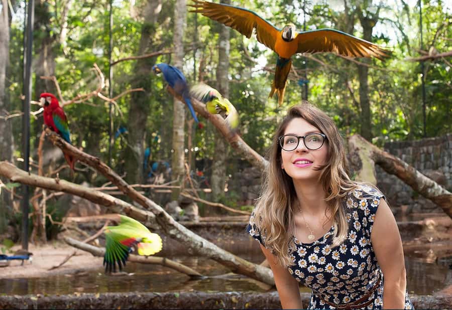From Puerto Iguazú: Brazilian Bird Park Tour with Tickets - Is $133 a fair price?