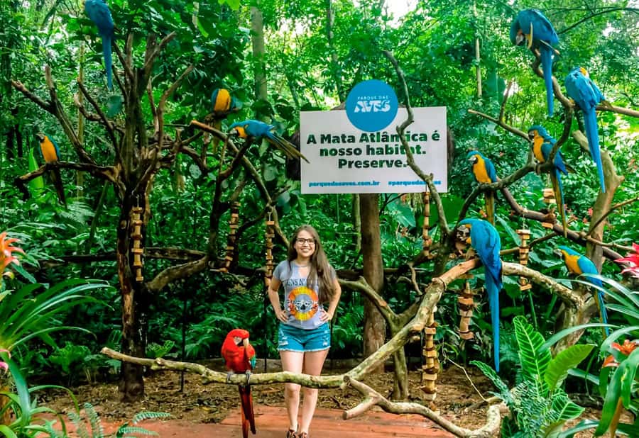 From Puerto Iguazú: Brazilian Bird Park Tour with Tickets - My recommendation for booking