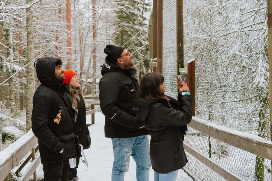From Rovaniemi: Family Friendly Visit to Ranua Wildlife Park - Why Ranua Wildlife Park is worth the trip from Rovaniemi