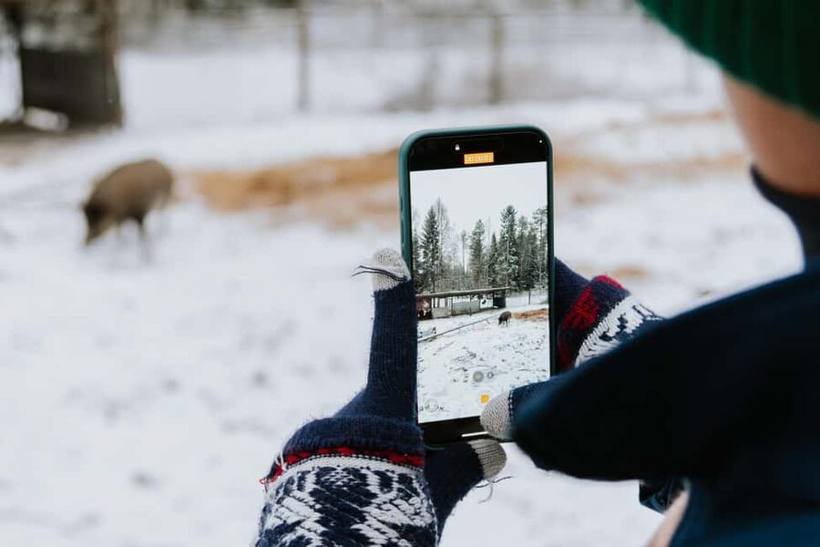 From Rovaniemi: Family Friendly Visit to Ranua Wildlife Park - Walking the park’s Arctic animal route