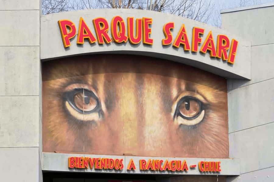 From Santiago: Safari Park, a wild experience - What the transport is like from Santiago