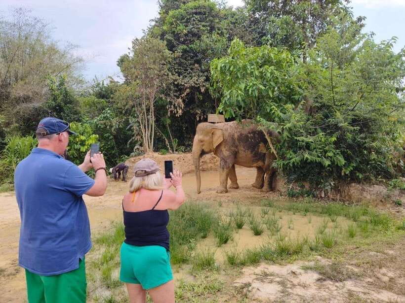 From Siem Reap: Elephant Sanctuary Experience with Transfers - Key points at a glance