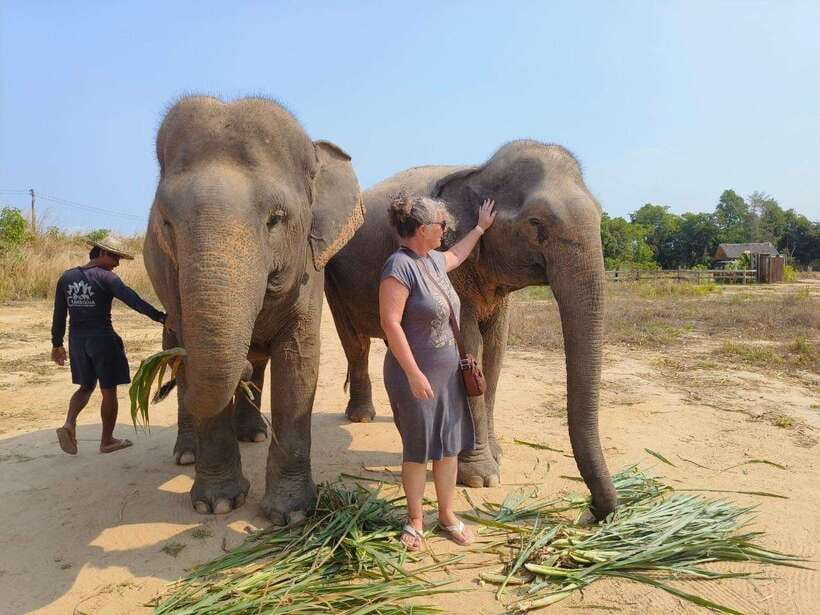 From Siem Reap: Elephant Sanctuary Experience with Transfers - Who should book this experience?