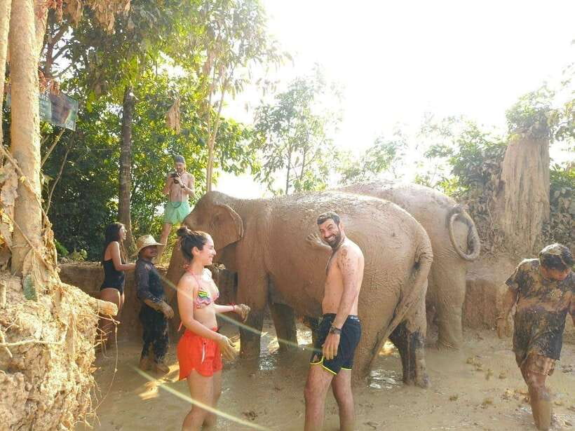 From Siem Reap: Elephant Sanctuary Experience with Transfers - A small sanctuary where the elephants come first