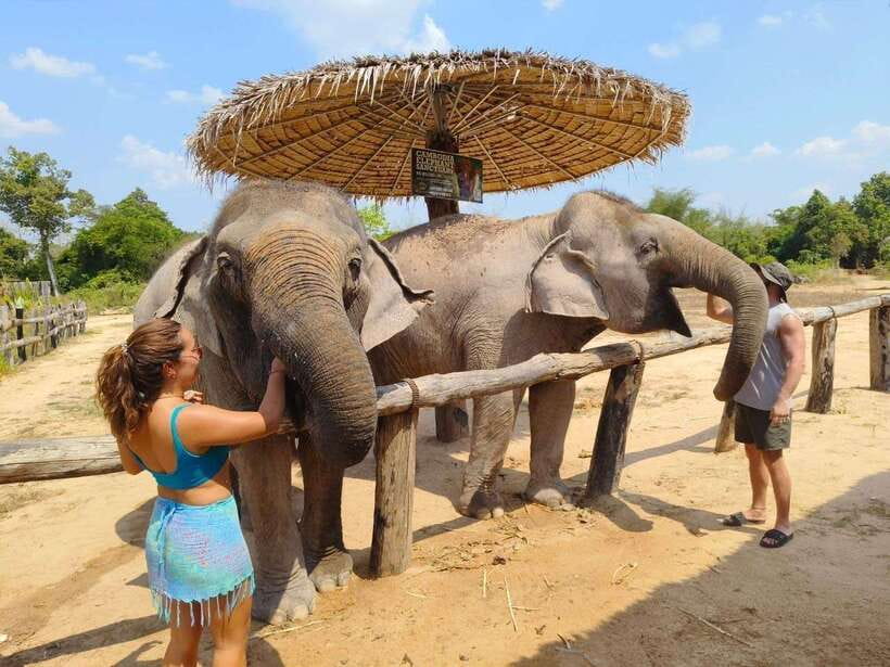 From Siem Reap: Elephant Sanctuary Experience with Transfers - Making rice balls and preparing elephant food