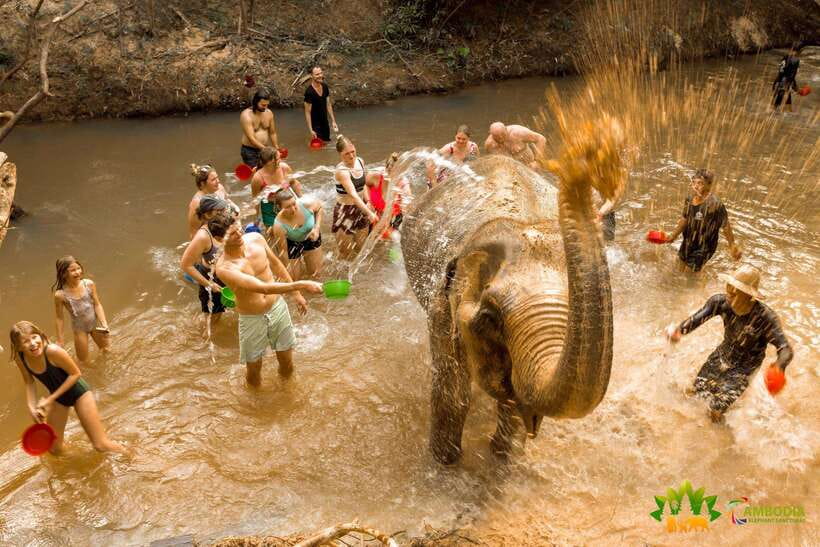 From Siem Reap: Elephant Sanctuary Experience with Transfers - What the small group format changes