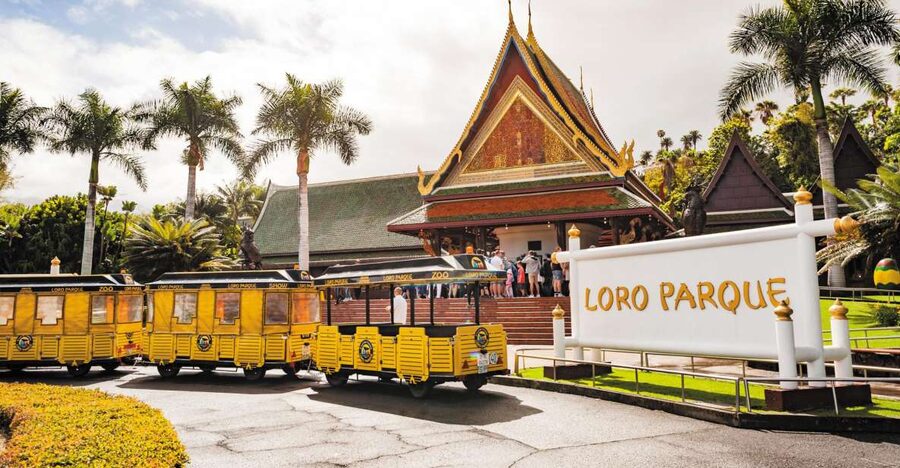 From South Tenerife: Loro Park Zoo Ticket & Hotel Transfers - Key points to know before booking