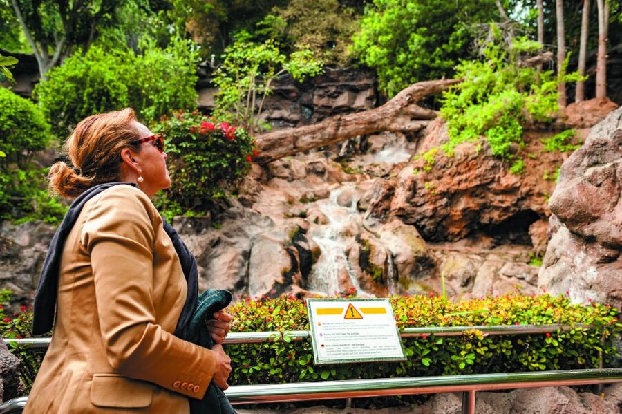 From South Tenerife: Loro Park Zoo Ticket & Hotel Transfers - Who should book this day out?