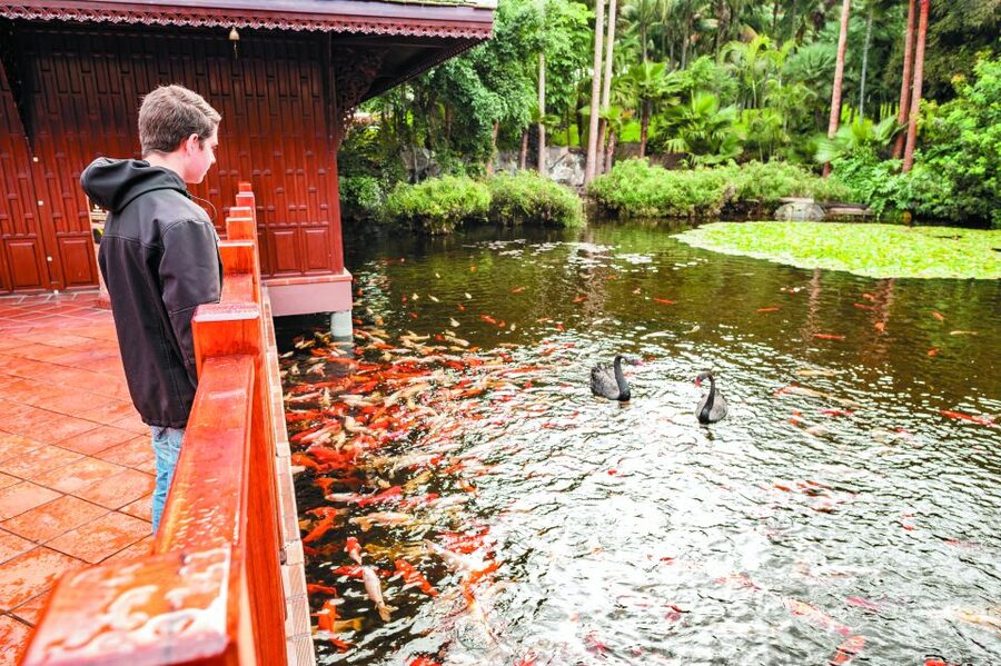 From South Tenerife: Loro Park Zoo Ticket & Hotel Transfers - Eating inside the park