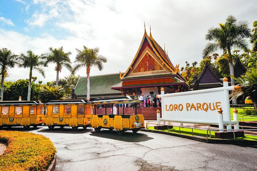 From South Tenerife: Loro Park Zoo Ticket & Hotel Transfers - Entering Loro Parque and planning your six hours