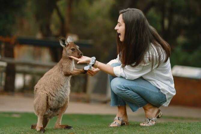 From Sydney: Blue Mountains Private Tour with Wildlife Park - Key points to know before booking