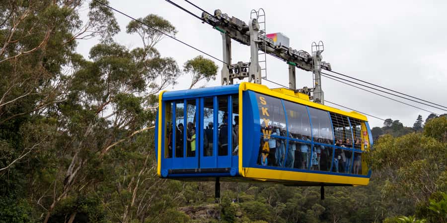 From Sydney: Blue Mountains, Scenic Railway, & Sydney Zoo - Morning pickup and the drive west