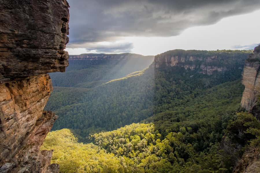 From Sydney: Blue Mountains, Sydney Zoo & Walking Tour - Who will enjoy this Blue Mountains day trip?