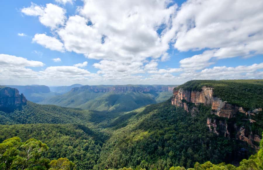 From Sydney: Blue Mountains, Sydney Zoo & Walking Tour - Scenic World: walk or pay for the rides