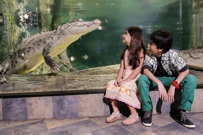 Full Day Dubai City Tour: Burj Khalifa & Underwater Zoo Ticket - The Dubai Aquarium and Underwater Zoo