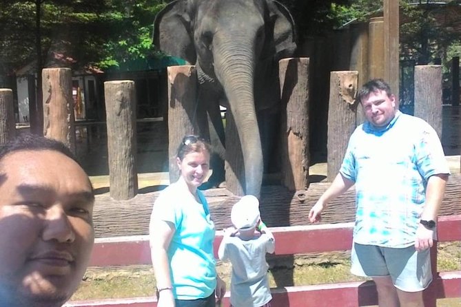 Full Day Elephant Sanctuary Tour with a Free Batu Caves Visit - Why the optional nature guide matters