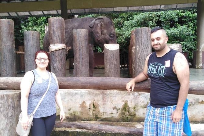 Full Day Elephant Sanctuary Tour with a Free Batu Caves Visit - Private transport, timing, and comfort