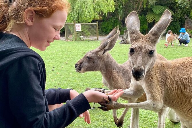 Full-Day Perth, Fremantle, Swan Valley & Wildlife Park - Caversham Wildlife Park and Molly’s Farm