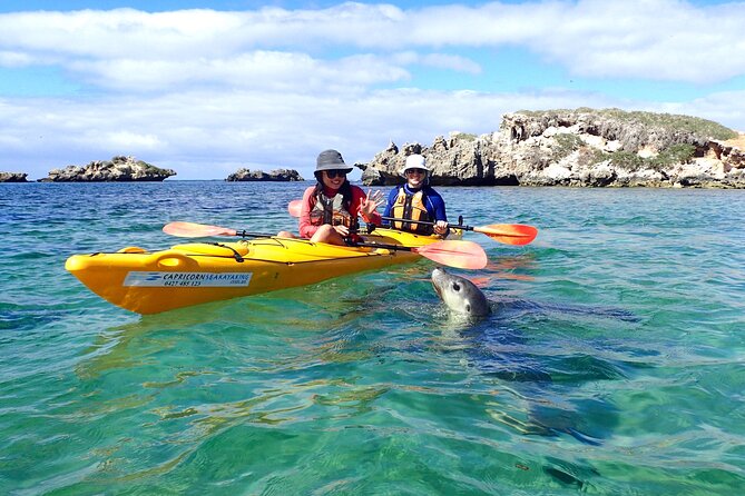 Full-Day Perth, Fremantle, Swan Valley & Wildlife Park - What the vehicle and group size mean for your day