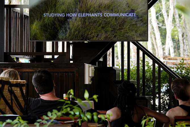 Full-Day Phuket Elephant Sanctuary Tour with Lunch and Dinner - Why this sanctuary feels different