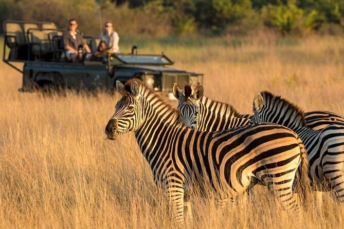 Full-Day Safari to Tala Game Reserve, Phezulu Safari Park and Natal from Durban - Phezulu Safari Park and Zulu culture