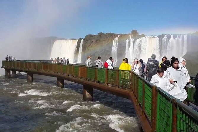 Full Tour to Brazilian Falls + Bird Park ! - Parque das Aves, from flamingos to harpy eagles