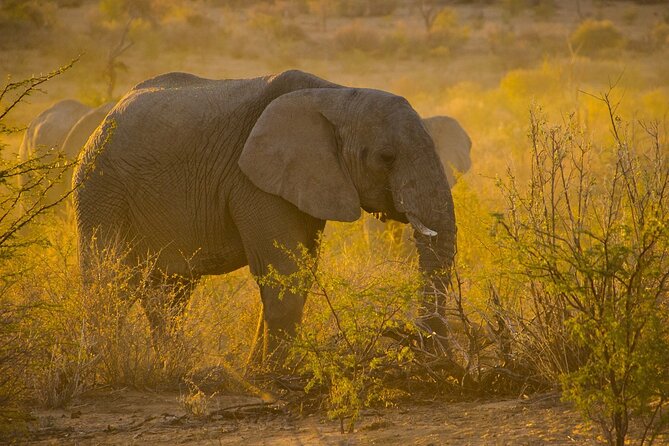 Gambia to Senegal Tour with Ferry Crossing and Safari Park - The guide and private transport make a difference