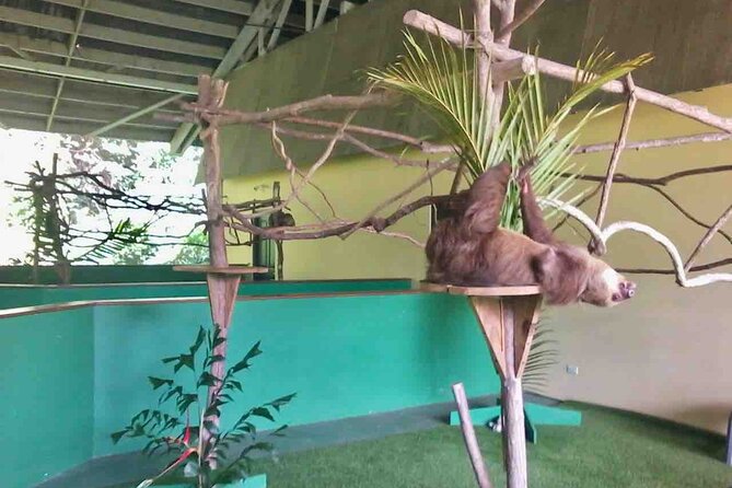 Gamboa Wildlife and Sloth Sanctuary Tour with Pickup - Transport, timing, and the small-group question
