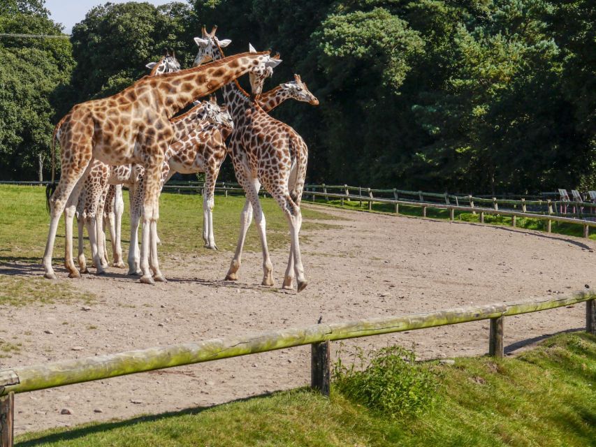Gdansk: Oliwa Zoo with Tickets and Roundtrip Transportation - The private pickup makes the outing easy