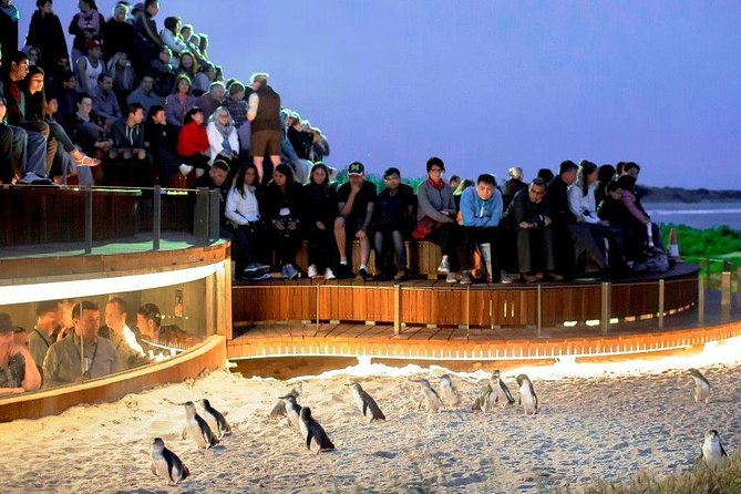 Giraffe Experience at Werribee Open Range Zoo - excl. entry - Is $63.83 good value?