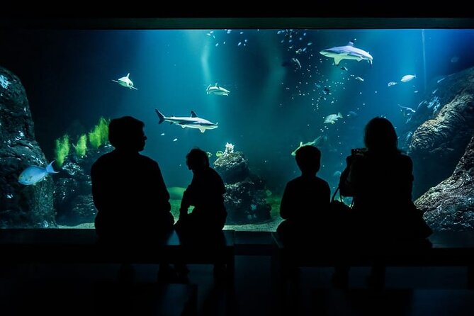 Gothenburg Universeum Ticket - Aquarium, Science, Wildlife, Zoo - Start with the rainforest, but plan around the terrain