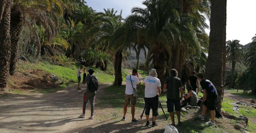 Gran Canaria: Camel Ride at Camel Safari Park - Key points to know before you go