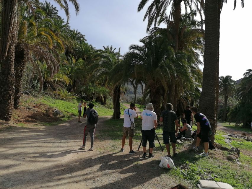 Gran Canaria: Camel Ride at Camel Safari Park - Riding through the Oasis of the 1,000 Palms