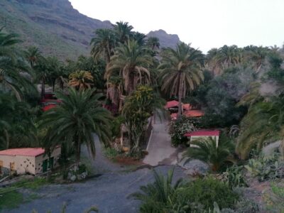 Gran Canaria: Camel Ride at Camel Safari Park
