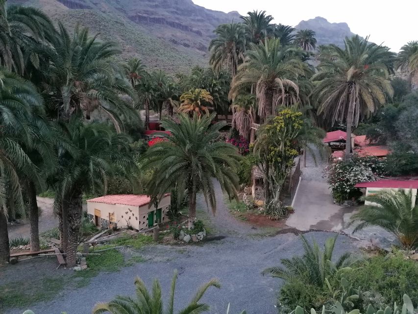 Gran Canaria: Camel Ride at Camel Safari Park - FAQ