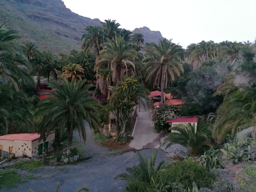 Gran Canaria: Camel Ride at Camel Safari Park - What happens at the park