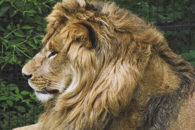 Granby Zoo 1 Day - Is $46 good value?