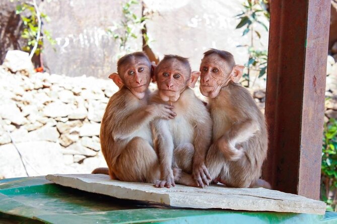 Granby Zoo 1 Day - Weather, cancellation, and planning details